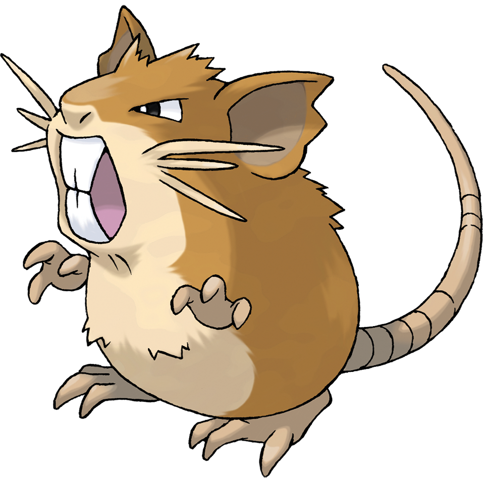 Raticate